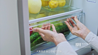 TCL三門風冷冰箱電商視頻